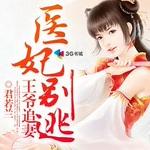 王爷追妻医妃别逃