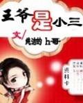 魅惑王爷圈爱妃/王爷是小三