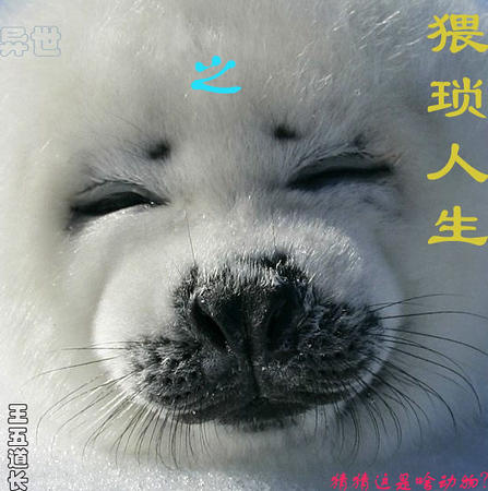 ����֮�������