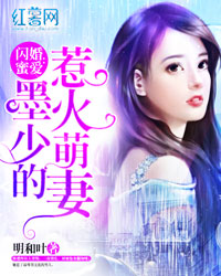 闪婚蜜爱:墨少的惹火萌妻