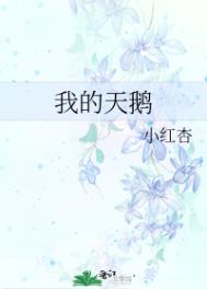 �ҵ���죨����ð����������ұ��ף�