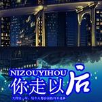 你走以后