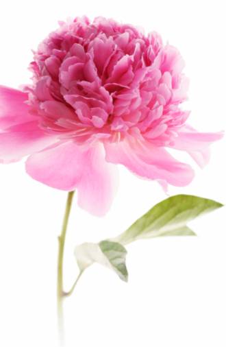 《不良少女日记》