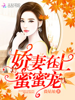 娇妻在上,蜜蜜宠!