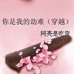 你是我的劫难(穿越)