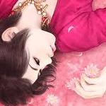 �����鰸������ϵ�У�