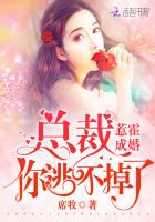 惹霍成婚:总裁,你逃不掉了!