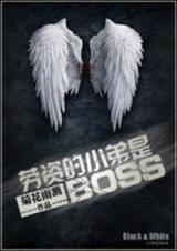 劳资的小弟是boss(系统)