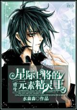 星际上将的元素精灵王